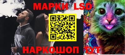 шишки Бузулук