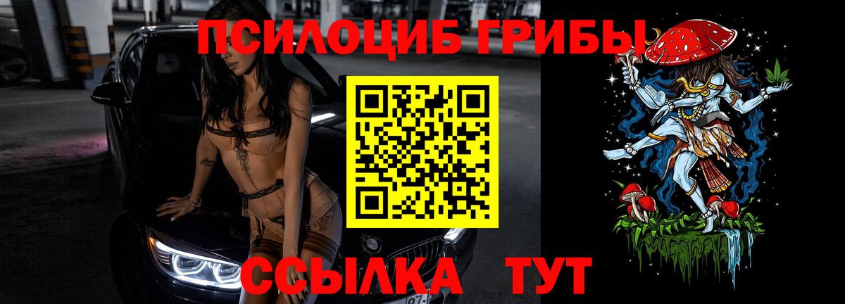 Саянск  Галлюциногенные грибы мухоморы  Вход с VPN  Галлюциногенные грибы Psilocybe 